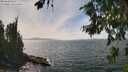 ./images/koeye/fitz-hugh/20260809/fitz-hugh20260809_145001M.jpg
