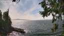 ./images/koeye/fitz-hugh/20260809/fitz-hugh20260809_152001M.jpg
