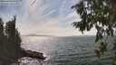 ./images/koeye/fitz-hugh/20260809/fitz-hugh20260809_154001M.jpg
