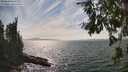 ./images/koeye/fitz-hugh/20260809/fitz-hugh20260809_154501M.jpg
