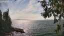 ./images/koeye/fitz-hugh/20260809/fitz-hugh20260809_155001M.jpg