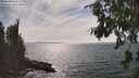 ./images/koeye/fitz-hugh/20260809/fitz-hugh20260809_161001M.jpg