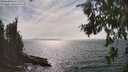 ./images/koeye/fitz-hugh/20260809/fitz-hugh20260809_161501M.jpg