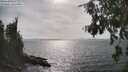 ./images/koeye/fitz-hugh/20260809/fitz-hugh20260809_164001M.jpg