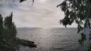 ./images/koeye/fitz-hugh/20260809/fitz-hugh20260809_165501M.jpg