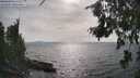 ./images/koeye/fitz-hugh/20260809/fitz-hugh20260809_170001M.jpg
