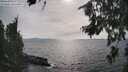 ./images/koeye/fitz-hugh/20260809/fitz-hugh20260809_171002M.jpg