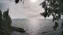 ./images/koeye/fitz-hugh/20260809/fitz-hugh20260809_171501M.jpg