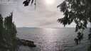 ./images/koeye/fitz-hugh/20260809/fitz-hugh20260809_172001M.jpg