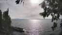 ./images/koeye/fitz-hugh/20260809/fitz-hugh20260809_172501M.jpg