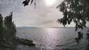 ./images/koeye/fitz-hugh/20260809/fitz-hugh20260809_173001M.jpg