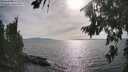 ./images/koeye/fitz-hugh/20260809/fitz-hugh20260809_174002M.jpg