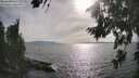 ./images/koeye/fitz-hugh/20260809/fitz-hugh20260809_174501M.jpg