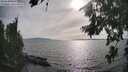 ./images/koeye/fitz-hugh/20260809/fitz-hugh20260809_175001M.jpg