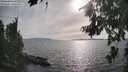 ./images/koeye/fitz-hugh/20260809/fitz-hugh20260809_175501M.jpg