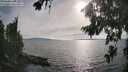 ./images/koeye/fitz-hugh/20260809/fitz-hugh20260809_180501M.jpg