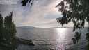 ./images/koeye/fitz-hugh/20260809/fitz-hugh20260809_182501M.jpg