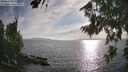 ./images/koeye/fitz-hugh/20260809/fitz-hugh20260809_183501M.jpg