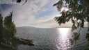 ./images/koeye/fitz-hugh/20260809/fitz-hugh20260809_184001M.jpg