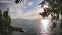./images/koeye/fitz-hugh/20260809/fitz-hugh20260809_184501M.jpg