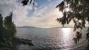 ./images/koeye/fitz-hugh/20260809/fitz-hugh20260809_185501M.jpg