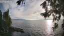 ./images/koeye/fitz-hugh/20260809/fitz-hugh20260809_191001M.jpg