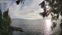 ./images/koeye/fitz-hugh/20260809/fitz-hugh20260809_191502M.jpg
