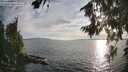 ./images/koeye/fitz-hugh/20260809/fitz-hugh20260809_192002M.jpg
