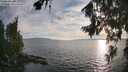 ./images/koeye/fitz-hugh/20260809/fitz-hugh20260809_192501M.jpg