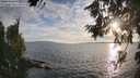 ./images/koeye/fitz-hugh/20260809/fitz-hugh20260809_193501M.jpg