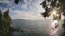 ./images/koeye/fitz-hugh/20260809/fitz-hugh20260809_194501M.jpg