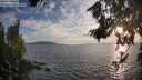 ./images/koeye/fitz-hugh/20260809/fitz-hugh20260809_195001M.jpg