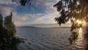 ./images/koeye/fitz-hugh/20260809/fitz-hugh20260809_202501M.jpg