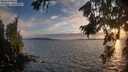 ./images/koeye/fitz-hugh/20260809/fitz-hugh20260809_203001M.jpg