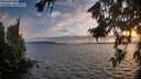 ./images/koeye/fitz-hugh/20260809/fitz-hugh20260809_203501M.jpg