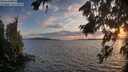 ./images/koeye/fitz-hugh/20260809/fitz-hugh20260809_204001M.jpg
