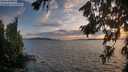 ./images/koeye/fitz-hugh/20260809/fitz-hugh20260809_204501M.jpg