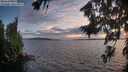 ./images/koeye/fitz-hugh/20260809/fitz-hugh20260809_205501M.jpg