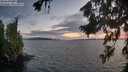 ./images/koeye/fitz-hugh/20260809/fitz-hugh20260809_211001M.jpg