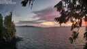 ./images/koeye/fitz-hugh/20260809/fitz-hugh20260809_211501M.jpg