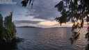 ./images/koeye/fitz-hugh/20260809/fitz-hugh20260809_212502M.jpg