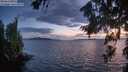 ./images/koeye/fitz-hugh/20260809/fitz-hugh20260809_213501M.jpg
