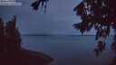 ./images/koeye/fitz-hugh/20260810/fitz-hugh20260810_053501M.jpg