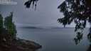 ./images/koeye/fitz-hugh/20260810/fitz-hugh20260810_055501M.jpg