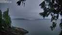 ./images/koeye/fitz-hugh/20260810/fitz-hugh20260810_060001M.jpg