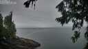 ./images/koeye/fitz-hugh/20260810/fitz-hugh20260810_063002M.jpg