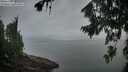 ./images/koeye/fitz-hugh/20260810/fitz-hugh20260810_064501M.jpg