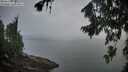 ./images/koeye/fitz-hugh/20260810/fitz-hugh20260810_065002M.jpg