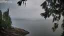./images/koeye/fitz-hugh/20260810/fitz-hugh20260810_065501M.jpg