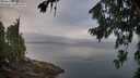 ./images/koeye/fitz-hugh/20260810/fitz-hugh20260810_071001M.jpg